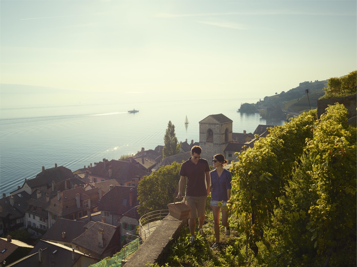 Illustration d'une balade dans les vignes de Lavaux avec vue sur le lac