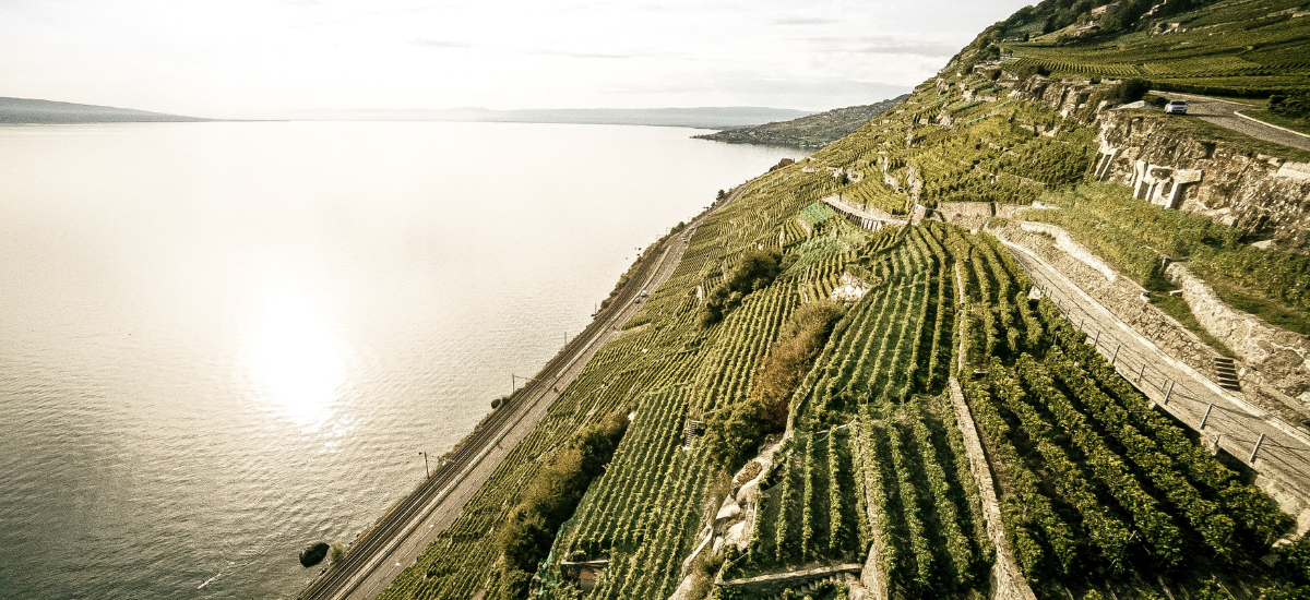 Tourisme résilient 5 projets touristiques vaudois
